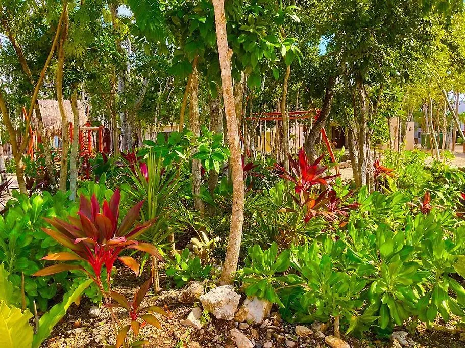 Tulum Selva Norte Mexiko