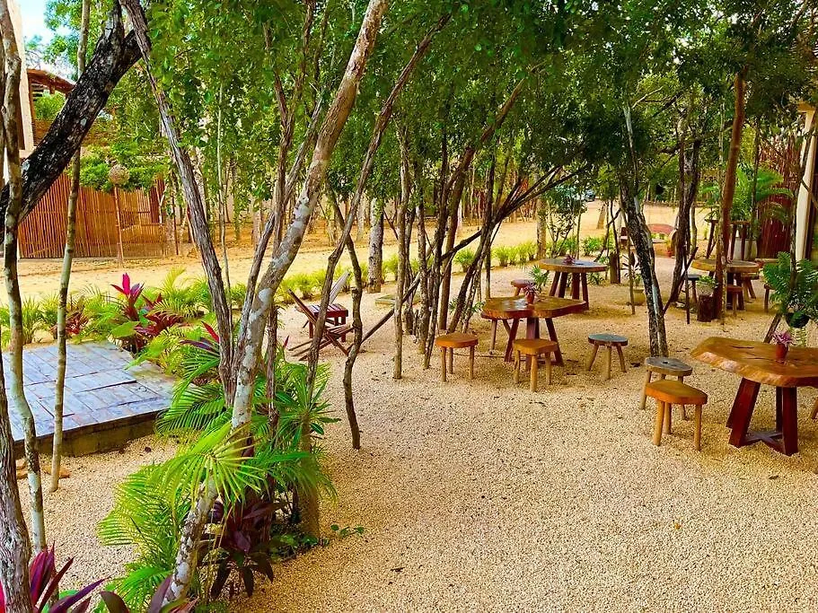 Lägenhet Tulum Selva Norte Mexiko